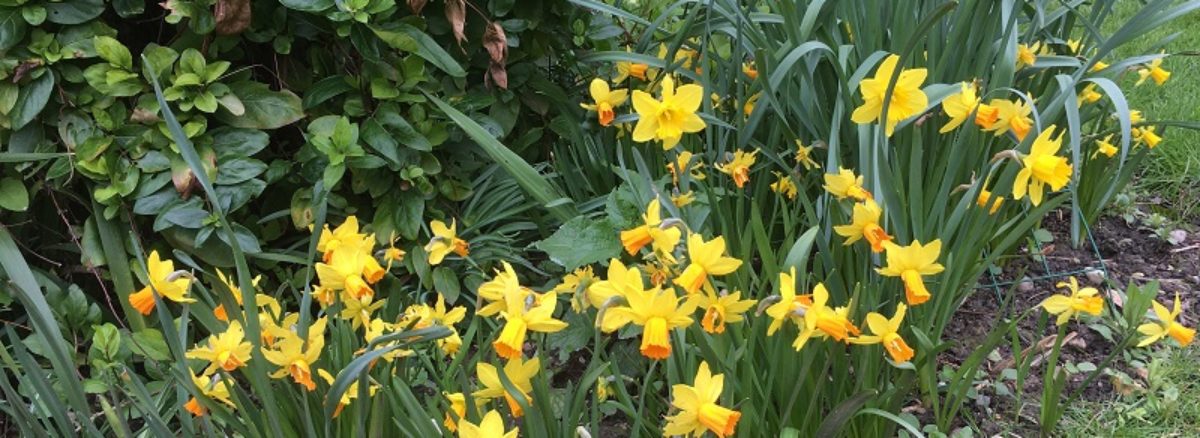  Little Waltham Gardening Club